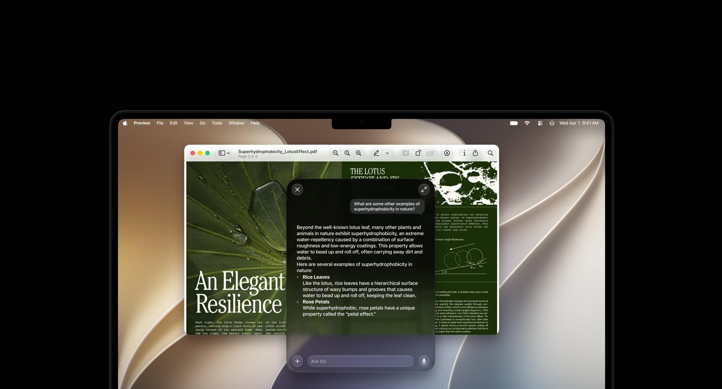 MacOS da Apple Intelligence ma'lumotlarini o'chirishga imkon beruvchi ochiq kodli vosita taqdim etildi