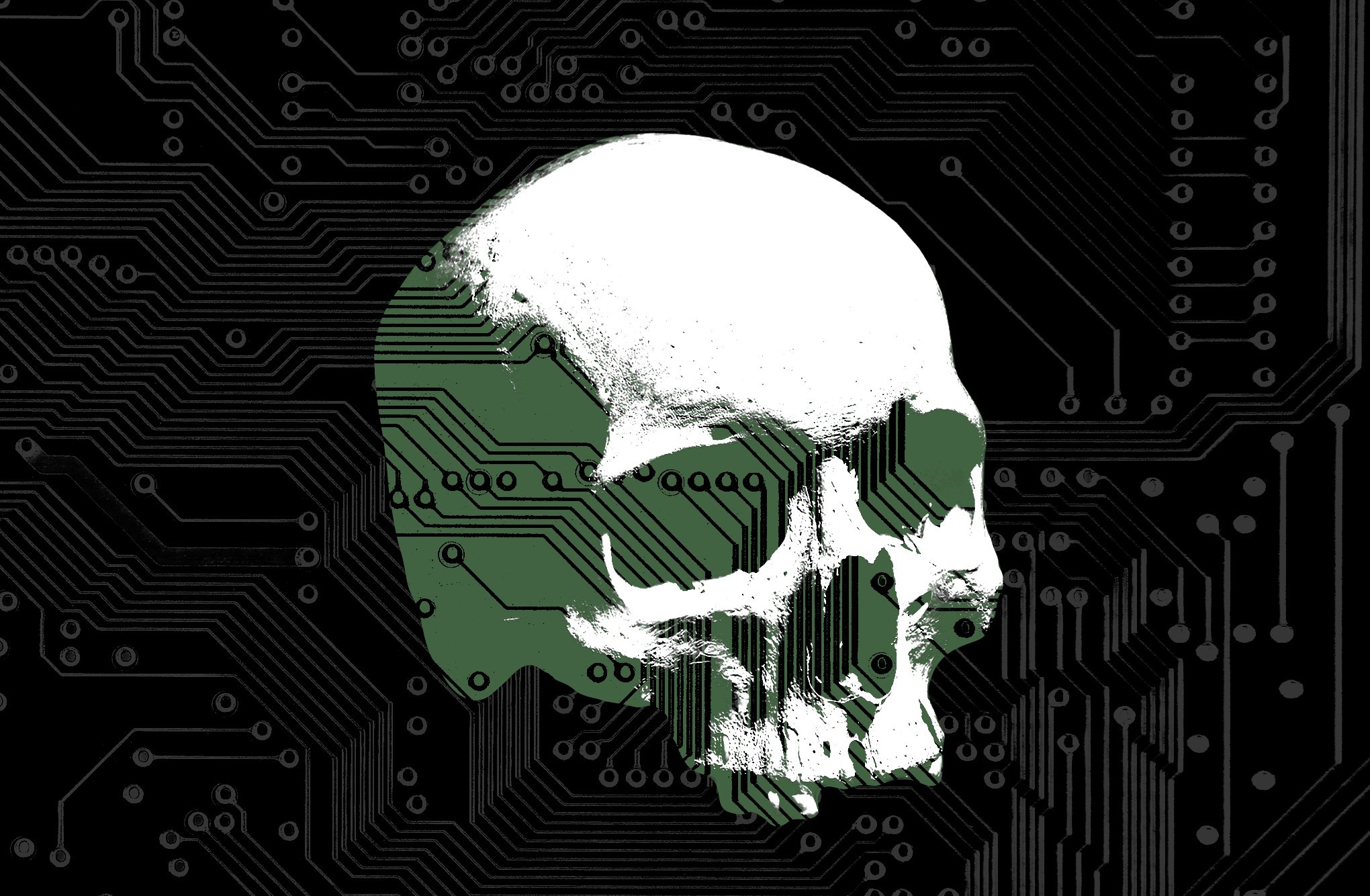 OpenAI va Microsoft internet uchun halokatli siklni boshlaganini oldindan bilgan